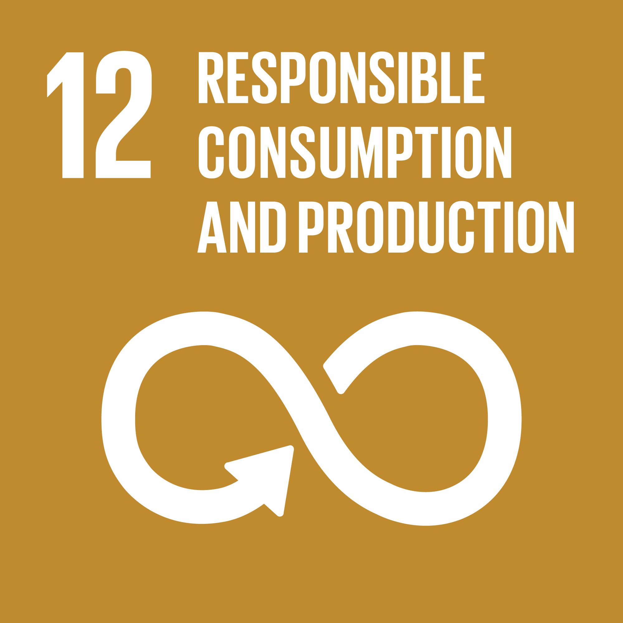12 Responsible consumption and production